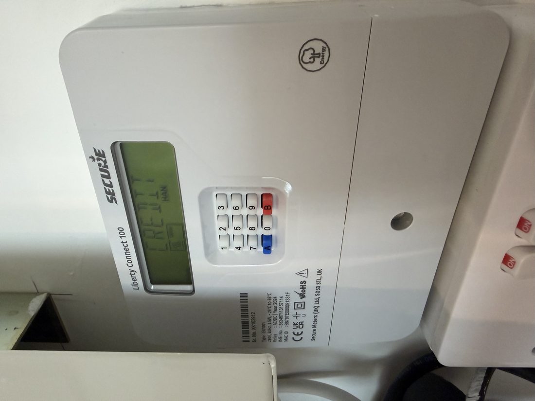 Sensus communal heat-network meter documented inside the Harvey W James listing