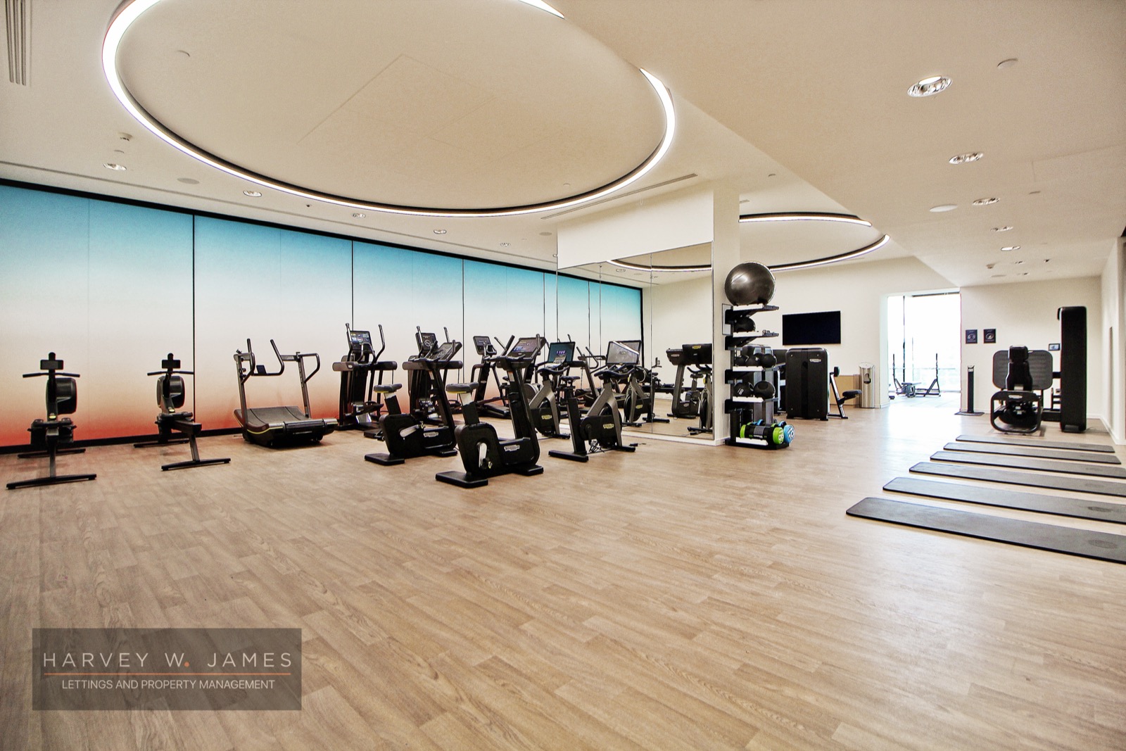 The residents’ gym overlooking the dock — One Park Drive